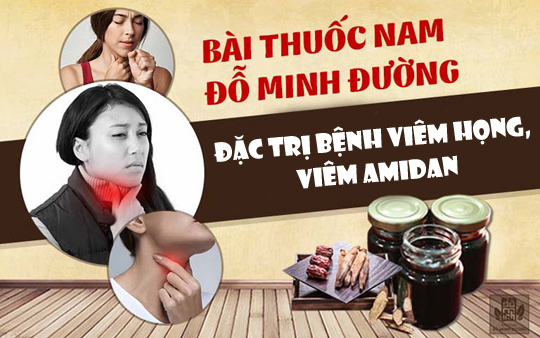 Bài thuốc viêm họng, viêm amidan Đỗ Minh Đường