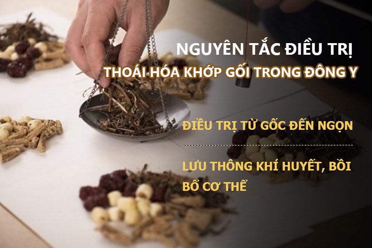 Nguyên tắc điều trị thoái hóa khớp gối bằng đông y trong ngoài kết hợp