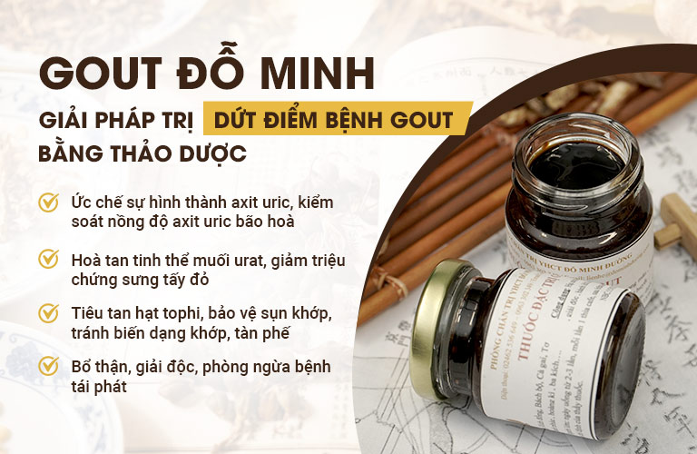 Công dụng vượt trội của bài thuốc Gout Đỗ Minh