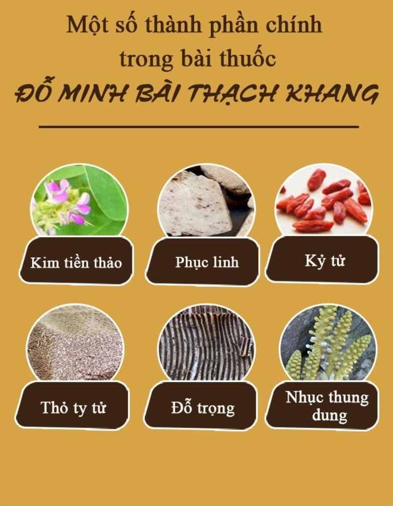 Những vị thuốc quý góp mặt trong bài thuốc Đỗ Minh Bài Thạch Khang