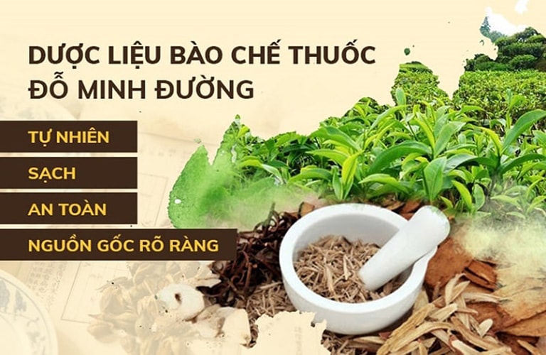 bai-thuoc-do-minh-duong-chua-noi-me-day-duoc-lieu.jpg