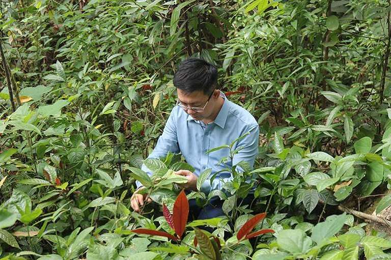 Lương y Tuấn dành nhiều thời gian nghiên cứu bài thuốc để mang đến hiệu quả cao nhất