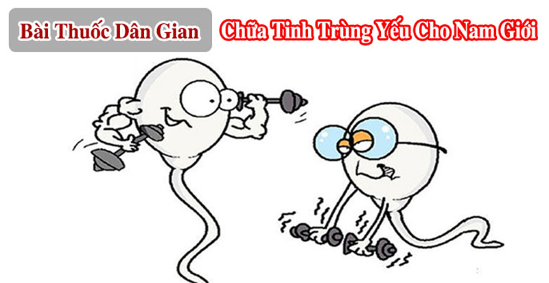 Các bài thuốc dân gian chữa tinh trùng yếu tại nhà hiệu quả