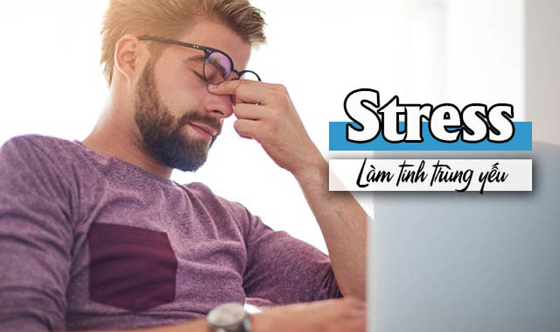 Căng thẳng, stress dài ngày có thể khiến nam giới suy giảm chất lượng tinh trùng