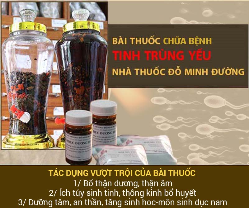 Bài thuốc chữa tinh trùng yếu Đỗ Minh Đường