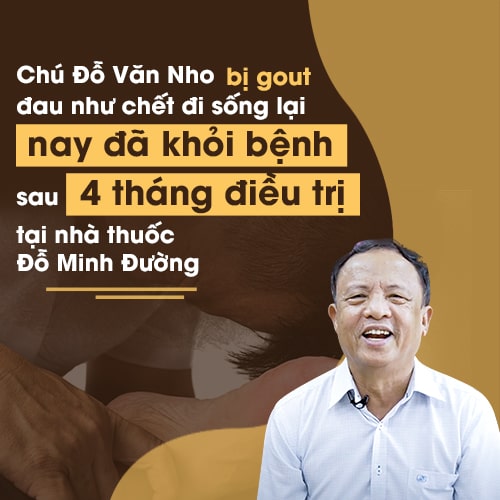 chu-nho-chua-gout-do-minh-duong.jpg