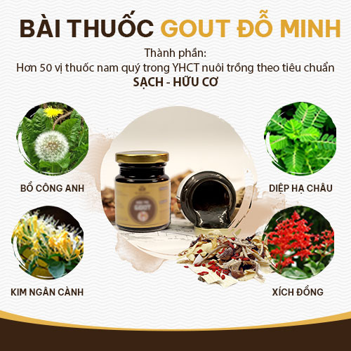 Thông tin về bài thuốc Gout Đỗ Minh