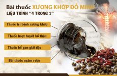 thuoc-4-trong-1-xuong-khop-do-minh