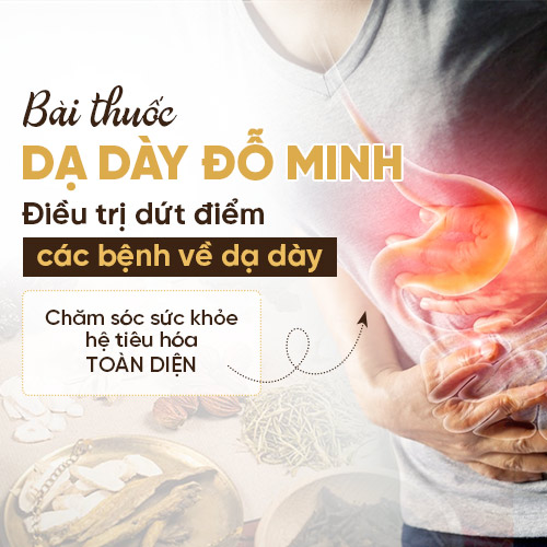 Bài thuốc Dạ dày Đỗ Minh trị dứt điểm đau dạ dày