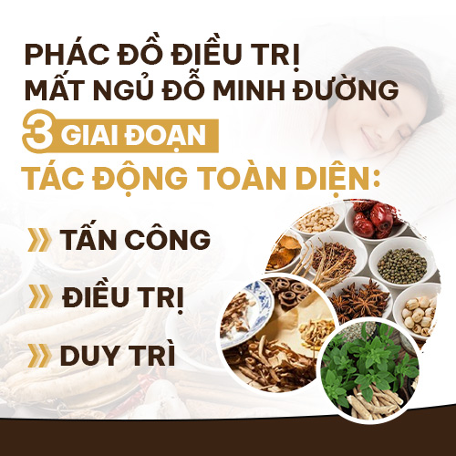 Phác đồ điều trị Mất ngủ Đỗ Minh