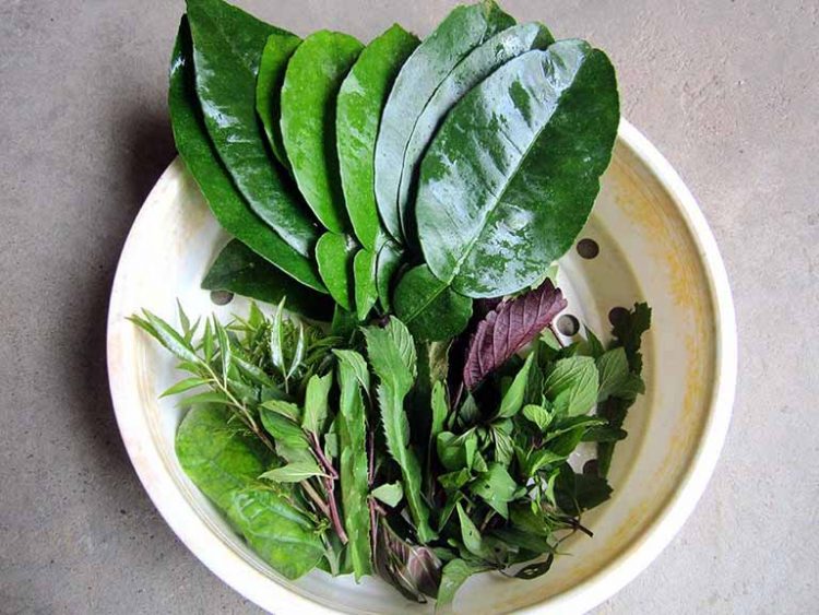 Nổi mề đay tắm lá gì?