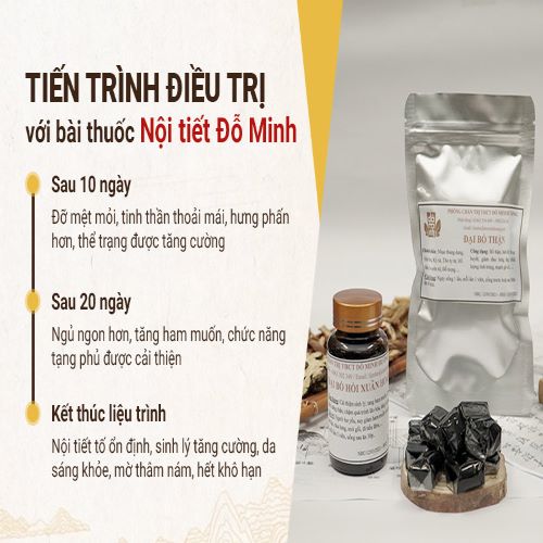 tien-trinh-dieu-tri-bang-bai-thuoc-noi-tiet-do-minh.jpg