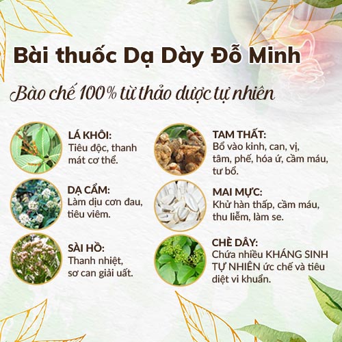 Thông tin về bài thuốc Dạ dày Đỗ Minh