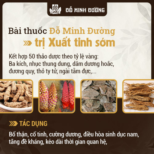 Bài thuốc trị xuất tinh sớm Đỗ Minh Đường