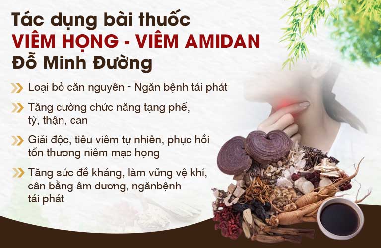 Tác dụng bài thuốc Viêm Họng Đỗ Minh
