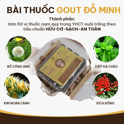 Bài thuốc chữa nhiều thành phần quý giúp tiêu viêm, chữa gout 