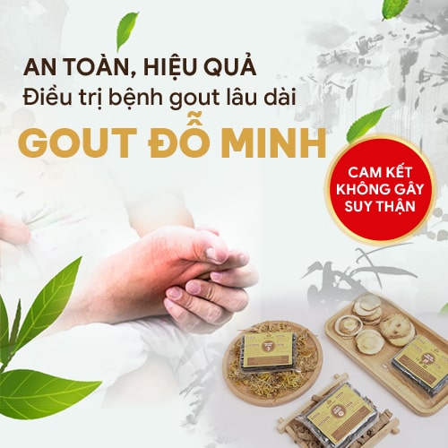 Bài thuốc chữa gout của Đỗ Minh Đường