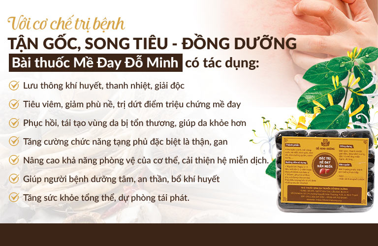 Bài thuốc Mề Đay Đỗ Minh với cơ chế điều trị Song Tiêu Đồng Dưỡng giúp trị bệnh từ gốc đến ngọn