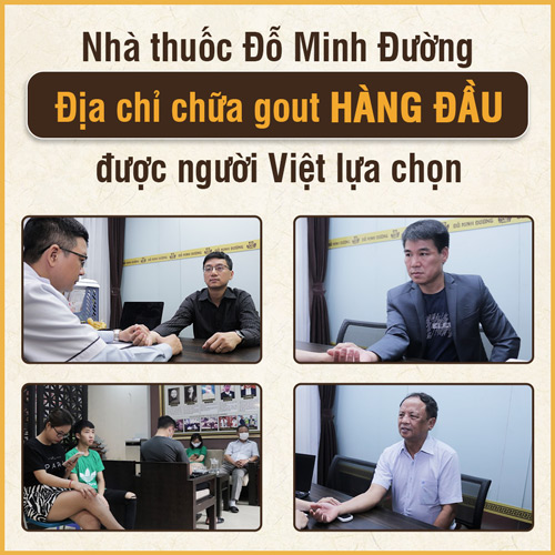 Thông tin về bài thuốc Gout Đỗ Minh