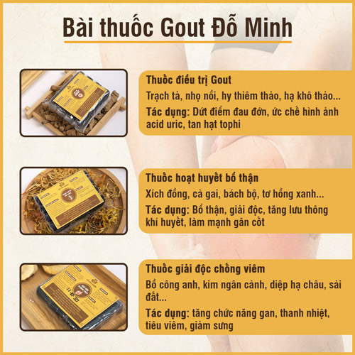 Cơ chế điều trị