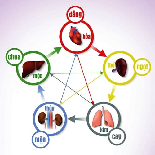 Điều trị bệnh Dạ dày bằng Y học cổ truyền