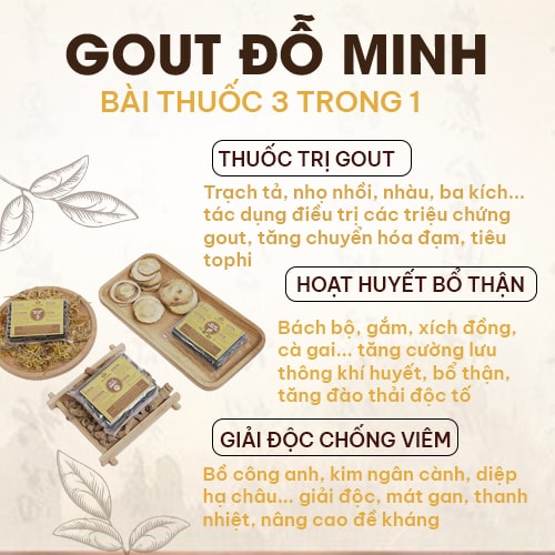 thuoc-gout-do-minh-3.jpg