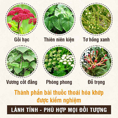 Giới thiệu bài thuốc Xương khớp Đỗ Minh