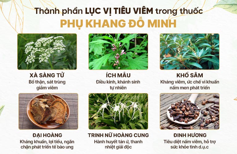 Thông tin bài thuốc Phụ khang Đỗ Minh