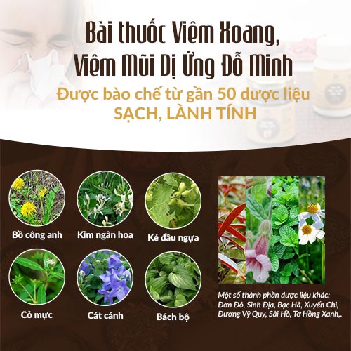 Thông tin bài thuốc Viêm Xoang - Viêm Mũi Dị Ứng Đỗ Minh