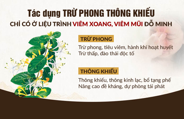 Hiệu quả trừ phong thông khiếu của bài thuốc Viêm Xoang, Viêm mũi Đỗ Minh Đường
