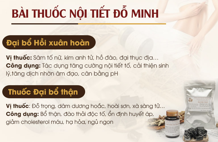 Bài thuốc Nội tiết Đỗ Minh