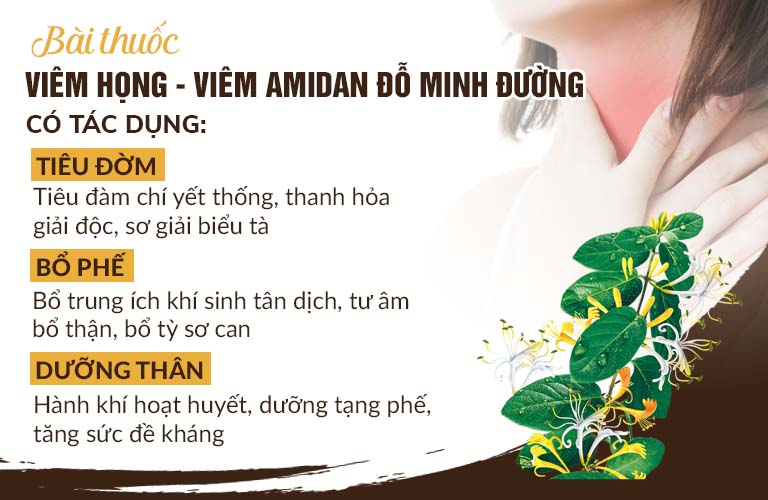 Bài thuốc chữa viêm họng, viêm amidan Đỗ Minh Đường cho tác dụng Tiêu Đờm - Bổ Phế - Dưỡng Thân Bài thuốc chữa viêm họng, viêm amidan Đỗ Minh Đường cho tác dụng Tiêu Đờm - Bổ Phế - Dưỡng Thân