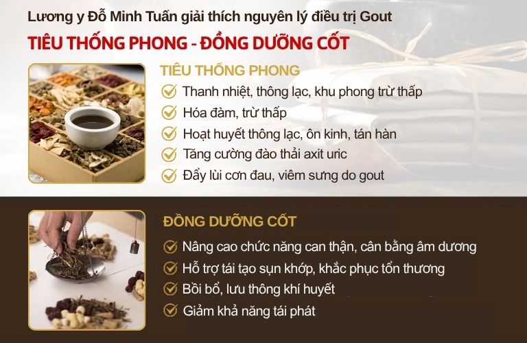nguyen-ly-bai-thuo-gout-do-minh-duong.jpg