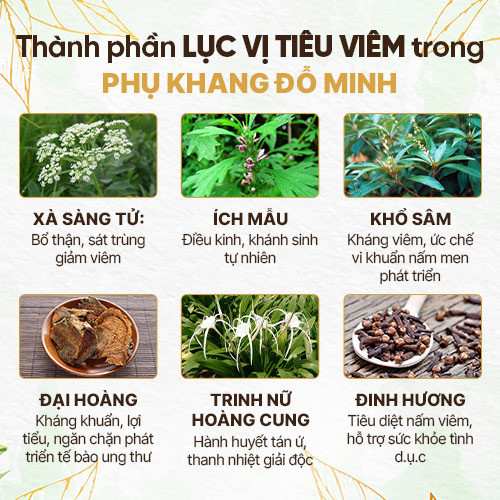 Thành phần LỤC VỊ TIÊU VIÊM trong bài thuốc Phụ Khang Đỗ Minh