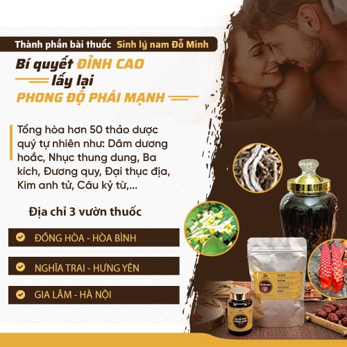 Giới thiệu bài thuốc Sinh lý nam Đỗ Minh