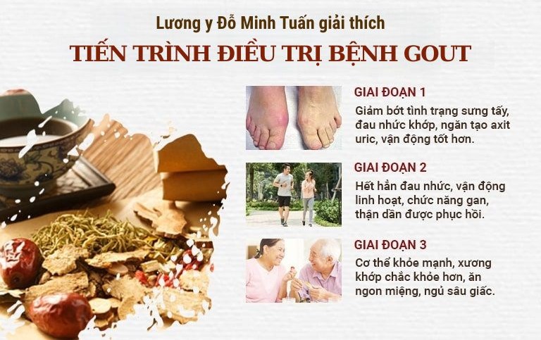 thuoc-tri-benh-gout.jpg