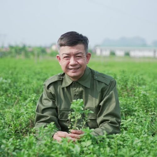 Dược liệu tại Đỗ Minh Đường chẩn sạch, nguồn gốc rõ ràng