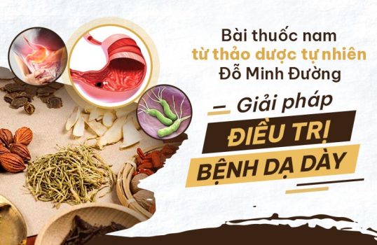 da-day-do-minh-1