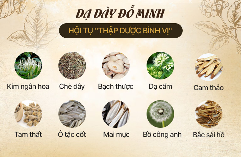 da-day-do-minh-thanh-phan-1.jpg