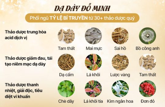 da-day-do-minh-thanh-phan1