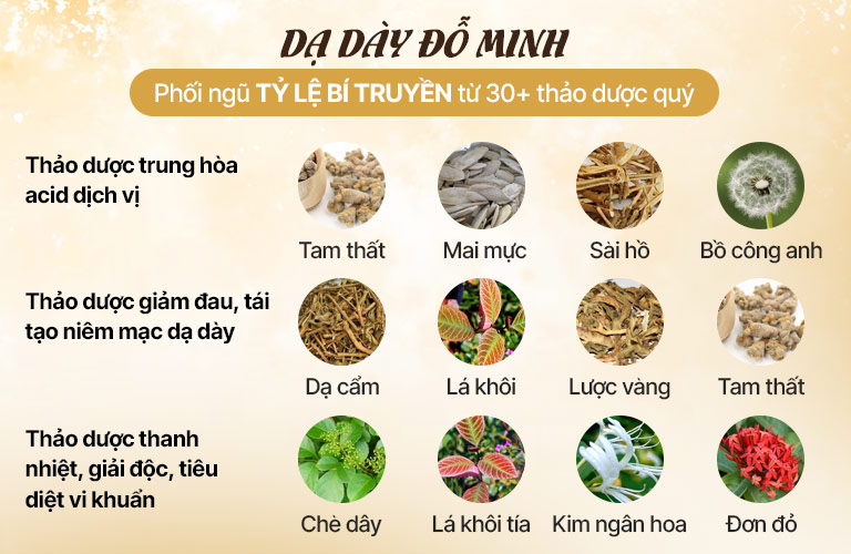 da-day-do-minh-thanh-phan1.jpg