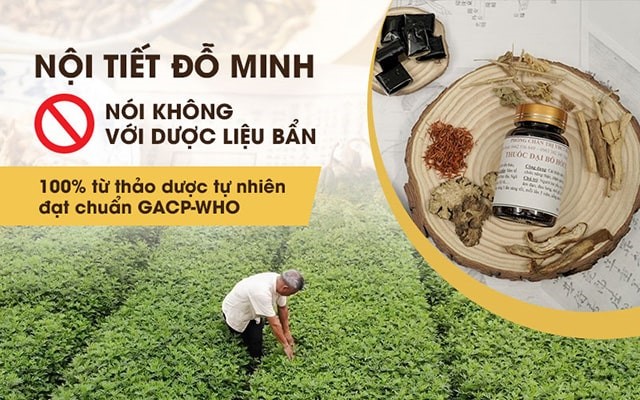 Vườn dược liệu nhà thuốc Đỗ Minh Đường