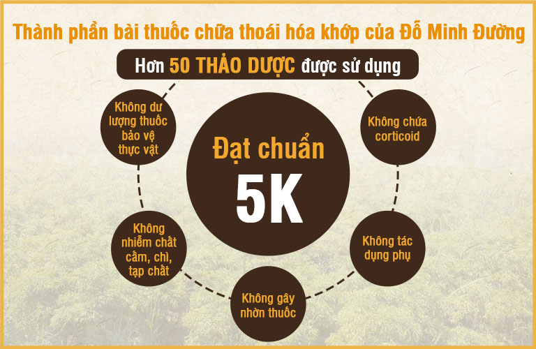 Thành phần bài thuốc thoái hóa theo tiêu chuẩn của Đỗ Minh Đường