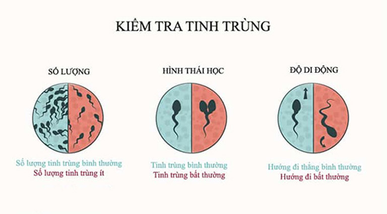 cách kiểm tra tinh trùng khỏe bằng mắt thường