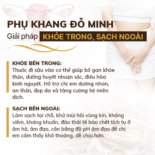 Tác dụng  bài thuốc Phụ Khang Đỗ Minh