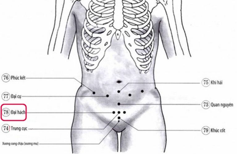 Bấm huyệt đại hách kích thích tăng ham muốn ở nam và nữ giới