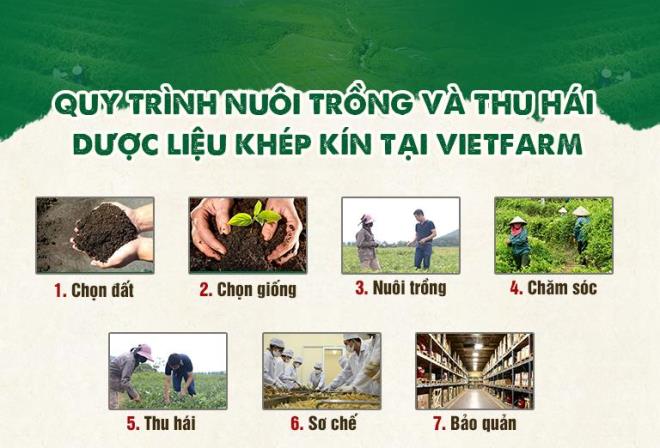 vietfarm2-17412237.jpg