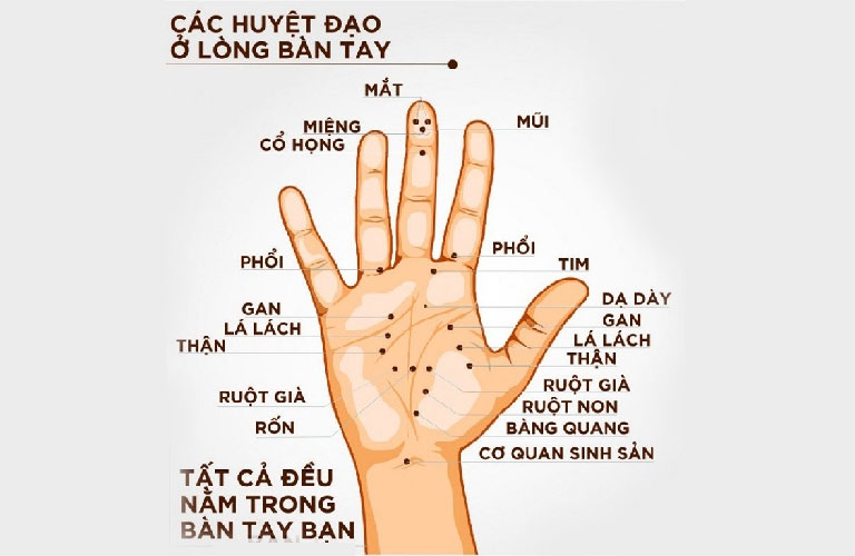 Chữa viêm amidan bằng diện chẩn 