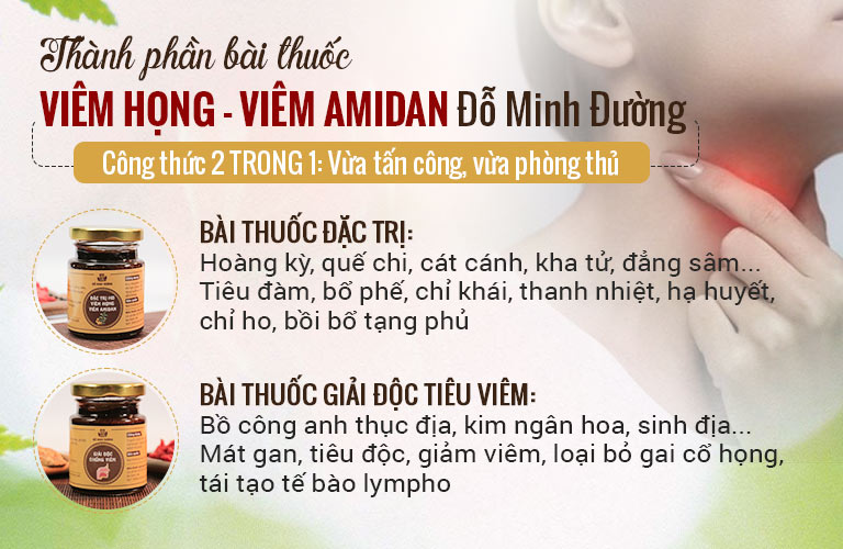 Thành phần bài thuốc viêm họng hạt Đỗ Minh