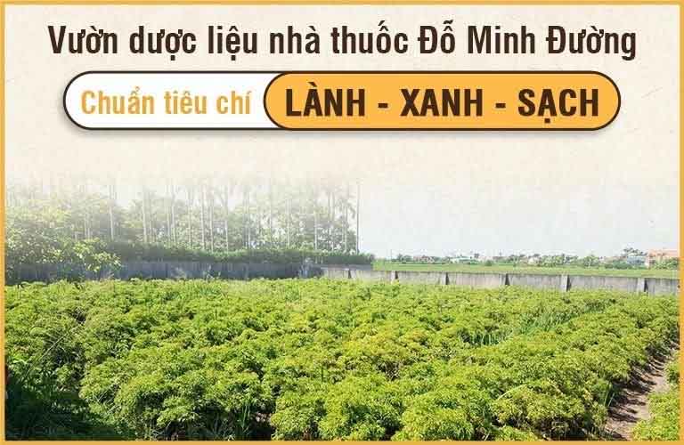 Vườn thuốc sạch Đỗ Minh Đường chuẩn sạch HỮU CƠ